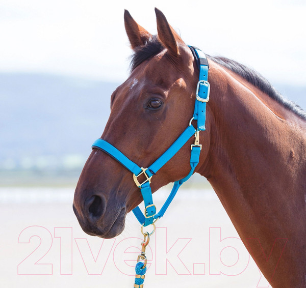 Изображение товара Недоуздок для лошади Shires Topaz COB / 387/BLUE/COB (голубой)