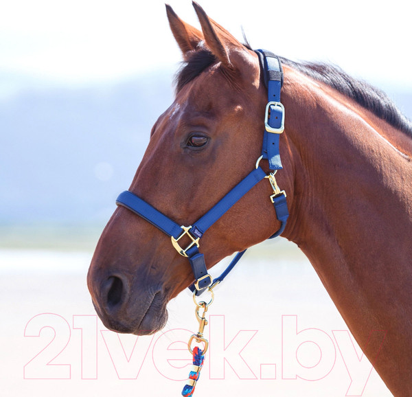 Изображение товара Недоуздок для лошади Shires Topaz COB / 387/NAVY/COB (синий)