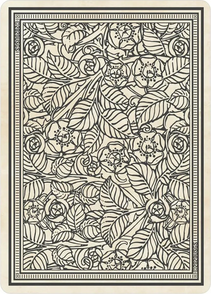 Изображение товара Гадальные карты U.S. Games Systems Rider Waite Playing Card Deck / RPC78