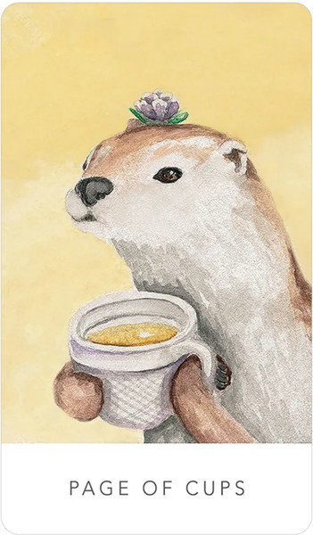 Изображение товара Гадальные карты U.S. Games Systems White Sage Tarot in a tin / WST80