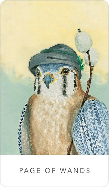 Изображение товара Гадальные карты U.S. Games Systems White Sage Tarot in a tin / WST80