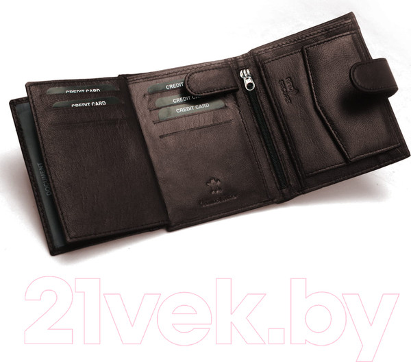 Изображение товара Портмоне Sanchez Casual AM-102R-123A (коричневый)