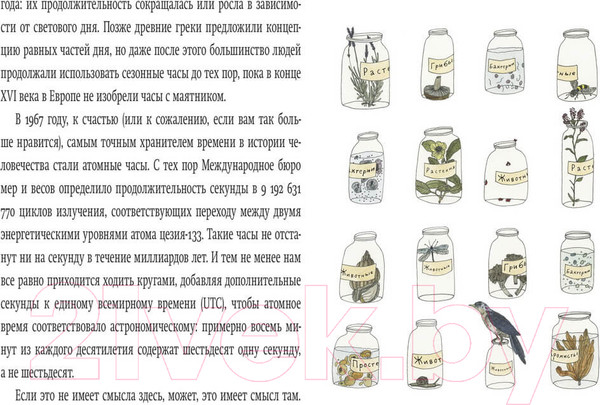 Изображение товара Энциклопедия МИФ Вкус Солнца. Маленькие чудеса необъятной Вселенной (Сандерс Э.)