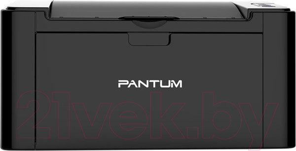 Изображение товара Принтер Pantum P2500