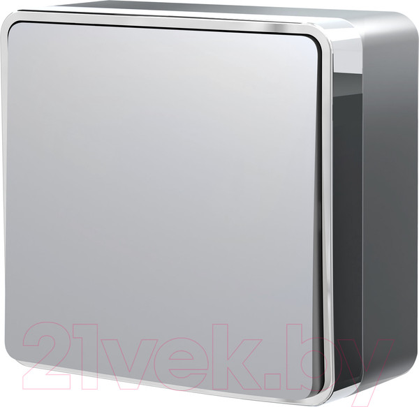 Изображение товара Выключатель Werkel Gallant W5010006 / a052765 (серебристый)