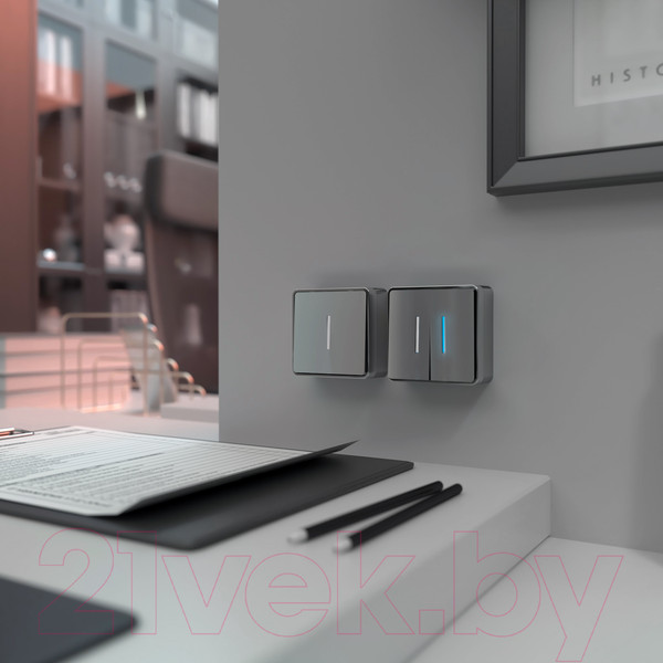 Изображение товара Выключатель Werkel Gallant W5010106 / a052766 (серебристый)