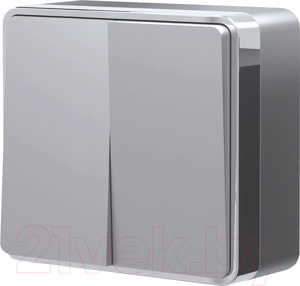 Изображение товара Выключатель Werkel Gallant W5020006 / a052769 (серебристый)