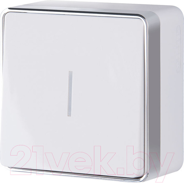 Изображение товара Выключатель Werkel Gallant W5010101 / a051578 (белый)