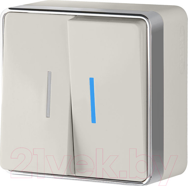 Изображение товара Выключатель Werkel Gallant W5020103 / a051550 (слоновая кость)