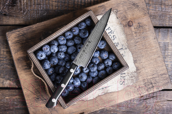 Изображение товара Нож Tojiro Универсальный F-333