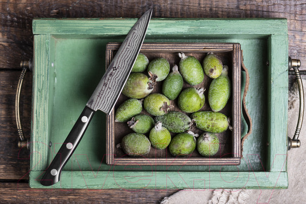 Изображение товара Нож Tojiro Универсальный F-333