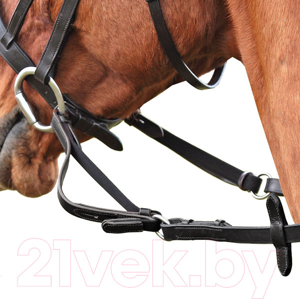 Изображение товара Повод для лошади Shires Flexi-Rein COB/FULL / 3264/BLACK (черный)