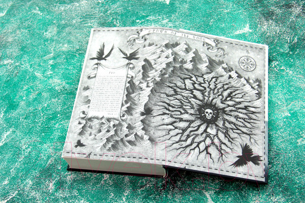 Изображение товара Книга АСТ Темный рассвет (Кристофф Д.)