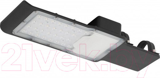 Изображение товара Светильник уличный ЭРА SPP-503-0-30K-080 / Б0051837