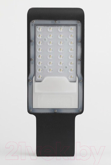 Изображение товара Светильник уличный ЭРА SPP-503-0-30K-080 / Б0051837