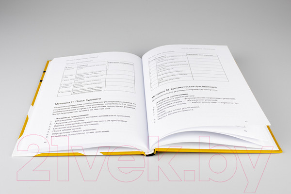 Изображение товара Книга Альпина Быстрые и эффективные совещания (Демьянова О.)