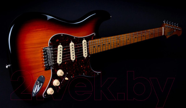 Изображение товара Электрогитара JET JS-300 SB