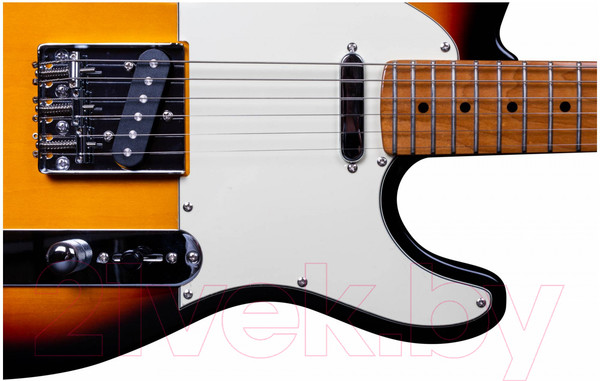 Изображение товара Электрогитара Jet Guitars JT-300 SB