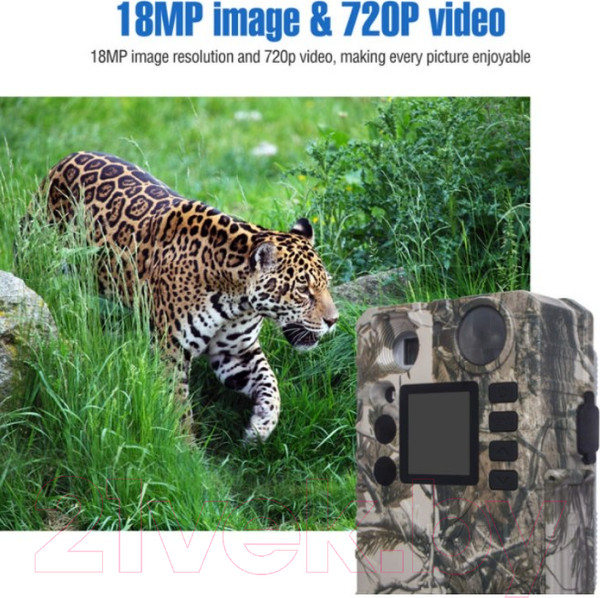 Изображение товара Фотоловушка BolyGuard BG310-MFP