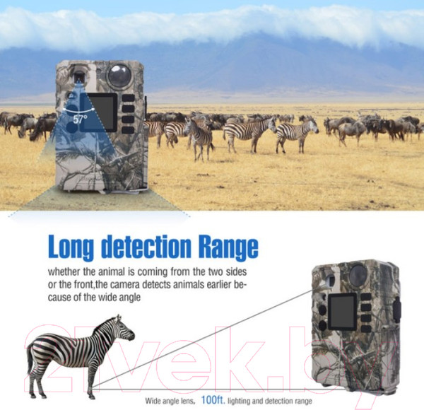 Изображение товара Фотоловушка BolyGuard BG310-MFP