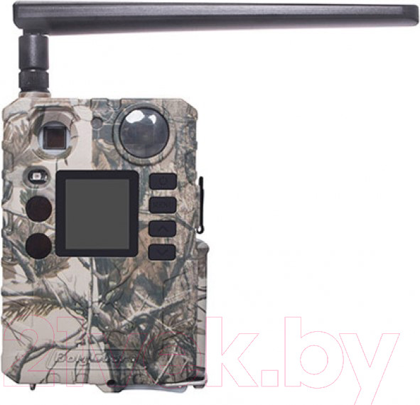 Изображение товара Фотоловушка BolyGuard BG310-MFP