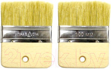 Изображение товара Кисть малярная УПРАВДОМ Профи 013511-100