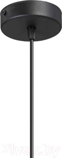 Изображение товара Потолочный светильник Vitaluce V2948-1/1S