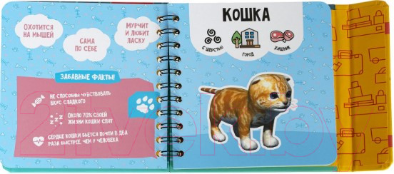 Изображение товара Развивающая книга Bondibon Изучаем диких и домашних животных / ВВ5243