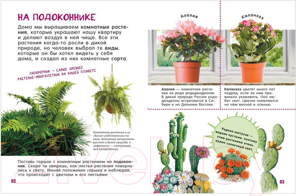 Изображение товара Энциклопедия Росмэн Гигантская энциклопедия для самых маленьких