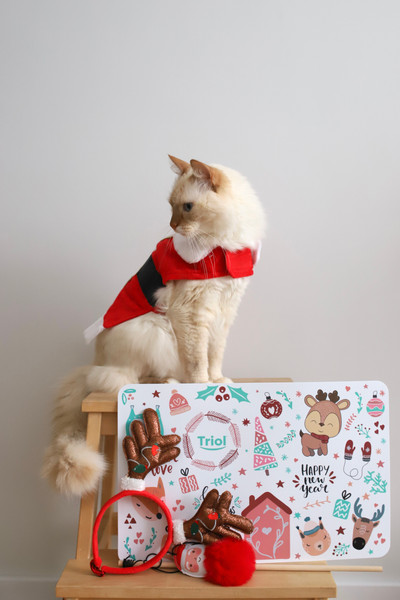 Изображение товара Попона для животных Triol New Year Костюм Деда Мороза / 12261269 (M, красный)