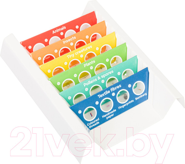 Изображение товара Набор микропрепаратов Levenhuk Discovery Флора и фауна / 78226 (24шт)