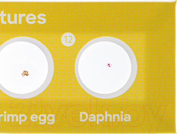 Изображение товара Набор микропрепаратов Levenhuk Discovery Флора и фауна / 78226 (24шт)