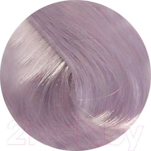 Изображение товара Крем-краска для волос Inebrya На семенах льна и алоэ вера 10/02 (100мл, платиновый блондин)