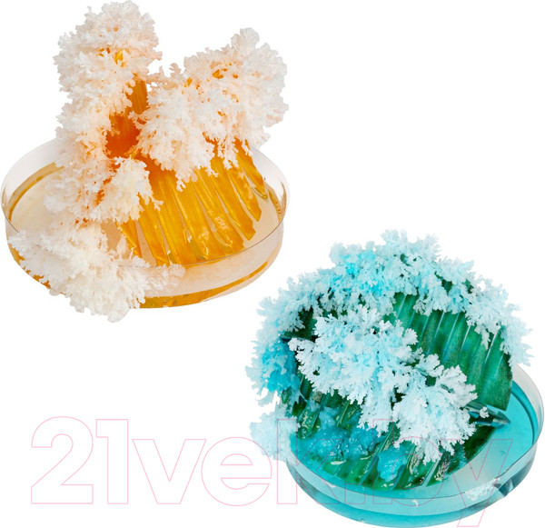 Изображение товара Набор для выращивания кристаллов Bondibon Японские опыты. Науки с Буки. Растущие динозавры / ВВ5325