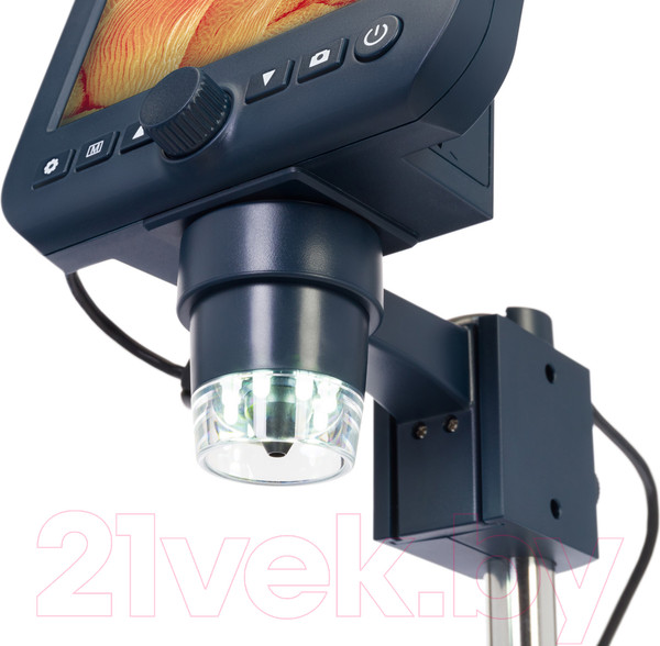 Изображение товара Микроскоп цифровой Levenhuk Discovery Artisan 64 / 78161