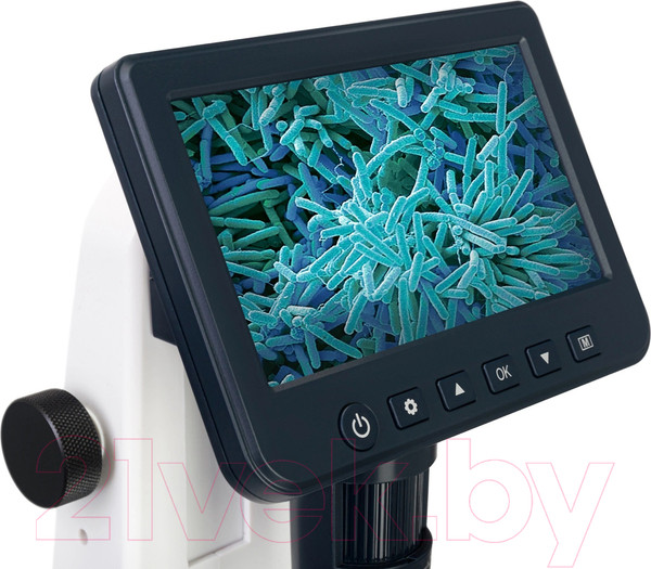 Изображение товара Микроскоп цифровой Levenhuk Discovery Artisan 512 / 78164