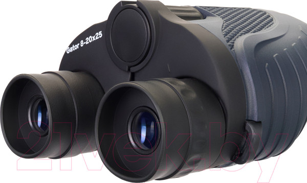 Изображение товара Бинокль Levenhuk Discovery Gator 8-20x25 / 77916