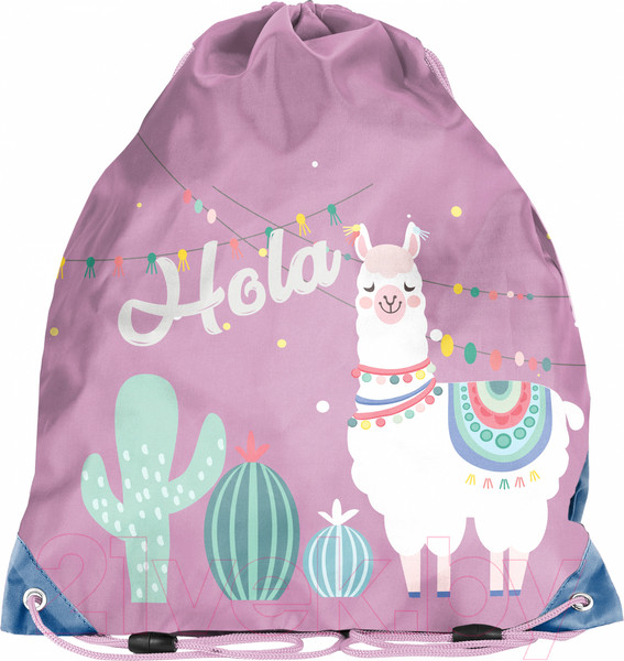 Изображение товара Мешок для обуви Paso PP20LA-712