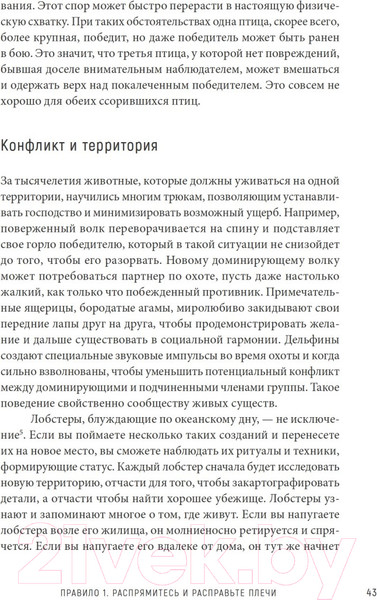 Изображение товара Книга Питер 12 правил жизни: противоядие от хаоса (Питерсон Д.)