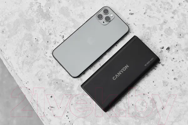 Изображение товара Портативное зарядное устройство Canyon PB-108 / CNE-CPB1008B