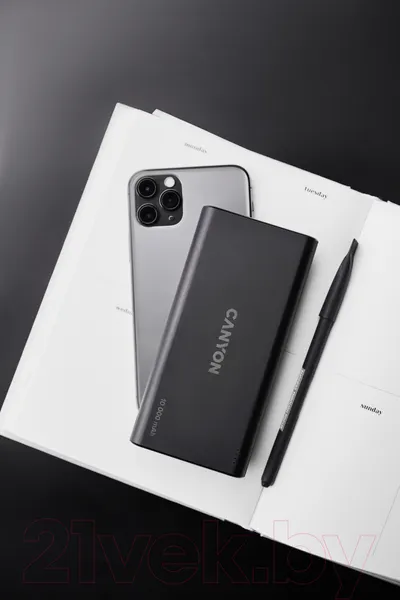 Изображение товара Портативное зарядное устройство Canyon PB-108 / CNE-CPB1008B