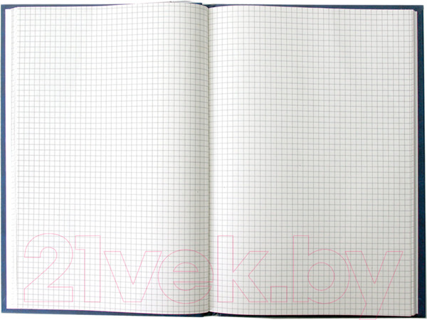 Изображение товара Книга учета Brauberg 130182