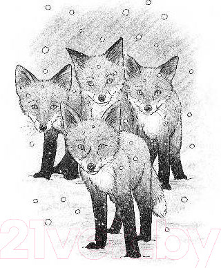 Изображение товара Книга Эксмо Рождественские истории. Как подружиться с лисенком (Вебб Х.)