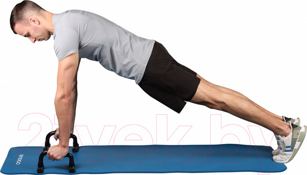 Изображение товара Упоры для отжимания Indigo Sport SM-397 (черный)