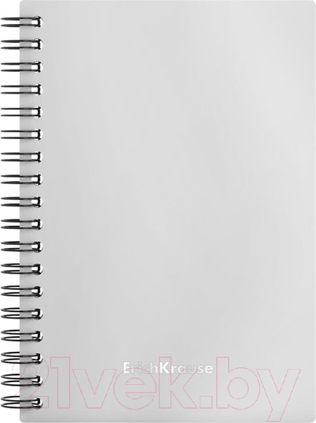 Изображение товара Тетрадь Erich Krause Candy / 54168 (80л, серебряный перламутр)