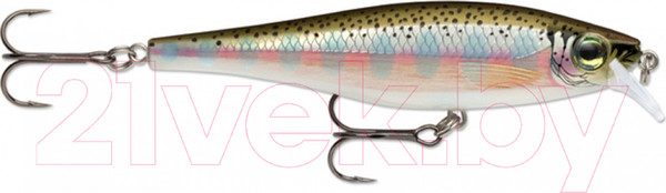 Изображение товара Воблер Rapala BX Minnow / BXM10-RT