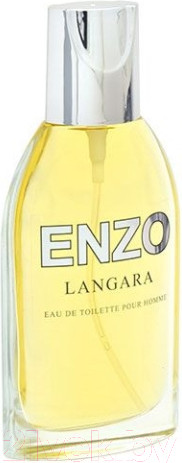 Изображение товара Туалетная вода Positive Parfum Enzo Langara (95мл)