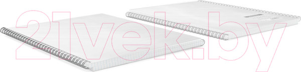 Изображение товара Тетрадь Erich Krause Candy / 54169 (80л, клетка)