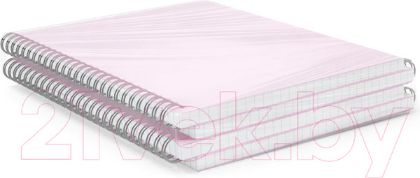 Изображение товара Тетрадь Erich Krause Candy / 54111 (80л, клетка)