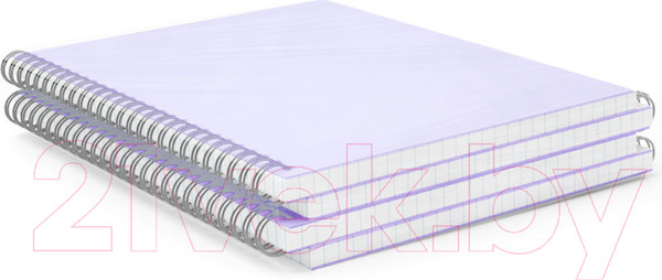Изображение товара Тетрадь Erich Krause Candy / 54166 (80л, клетка)